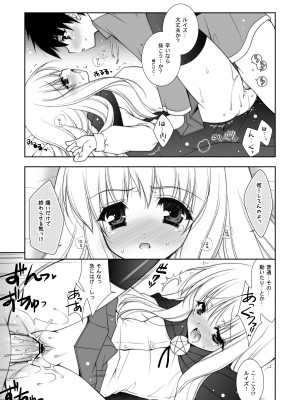 [しぐにゃん] ゼロの使い魔 総集編 (ゼロの使い魔) [DL版]_019