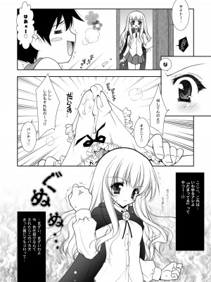 [しぐにゃん] ゼロの使い魔 総集編 (ゼロの使い魔) [DL版]_008