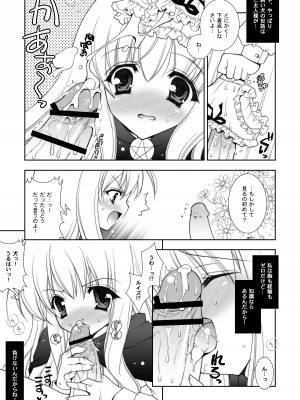 [しぐにゃん] ゼロの使い魔 総集編 (ゼロの使い魔) [DL版]_009