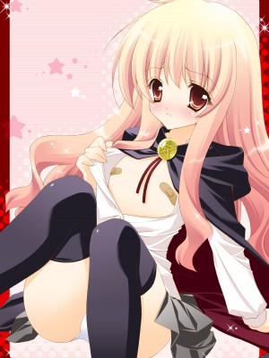 [しぐにゃん] ゼロの使い魔 総集編 (ゼロの使い魔) [DL版]_005