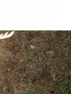 [卡滋箱 (卡滋馬)] しかのこしこしこうでぱんぱん (しかのこのこのここしたんたん) [中国語] [DL版]_20