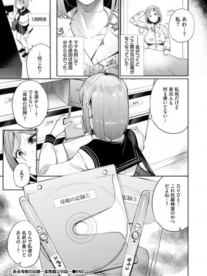 COMIC BAVEL 2024年11月号 [DL版]_339