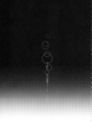 (C104) [Yokohama Junky (魔狩十織)] ソロハンターの生態 WORLD 11 (モンスターハンター)_34