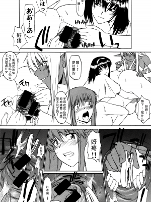 (C68) [集団暴力 (Ez6、水無月十三、むらさき朱)] Record of Aldelayd Act.8 - EXHIBITION DX5 [中国翻訳]_36