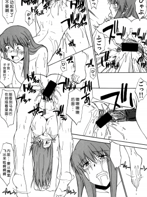 (C68) [集団暴力 (Ez6、水無月十三、むらさき朱)] Record of Aldelayd Act.8 - EXHIBITION DX5 [中国翻訳]_41