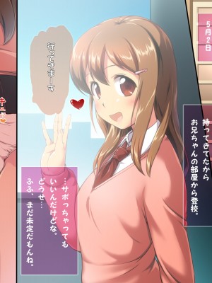 [かじむらマーケット (かじむらカジマ)] 妹NN日記EX-まいんだいあり えくすとら-_EV027