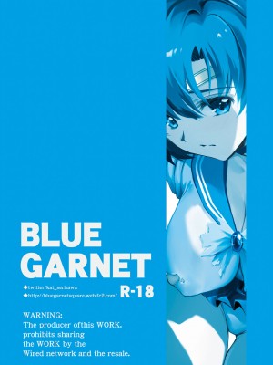 [BLUE GARNET (芹沢克己)] その星は汚されて5 (美少女戦士セーラームーン) [DL版]_02