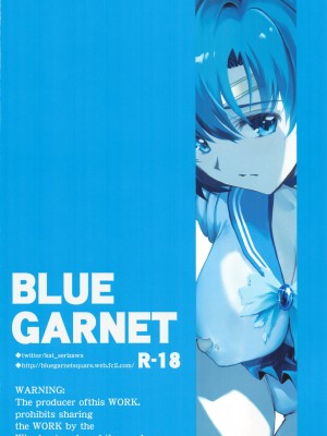 (C104) [BLUE GARNET (芹沢克己)] その星は汚されて5 (美少女戦士セーラームーン)_28
