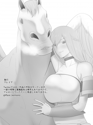 [フレイア] 女騎士の秘密 [Chinese]_27