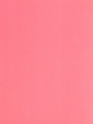 (C104) [たみま屋 (たみま)] サレンの秘めてる胸の内 (プリンセスコネクト!Re：Dive)_02