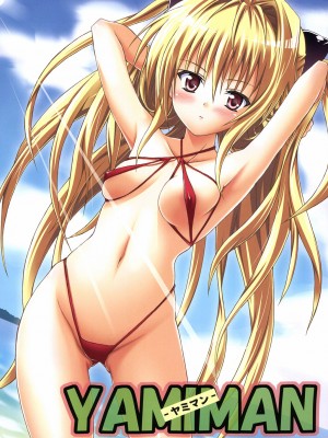 [虎マシーン (春日部太郎)] 虎★とら ～To LOVEる総集編～ (ToLOVEる -とらぶる-) [DL版]_011