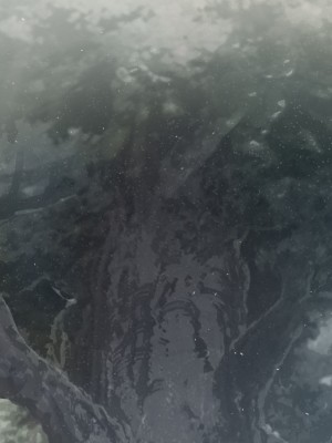 [可老家 (可老)] テイ〇ット牧場～仔獅子の章～ (原神)_398