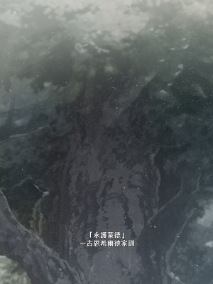 [可老家 (可老)] テイ〇ット牧場～仔獅子の章～ (原神)_399