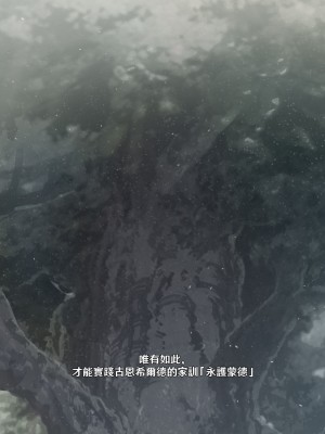 [可老家 (可老)] テイ〇ット牧場～仔獅子の章～ (原神)_402