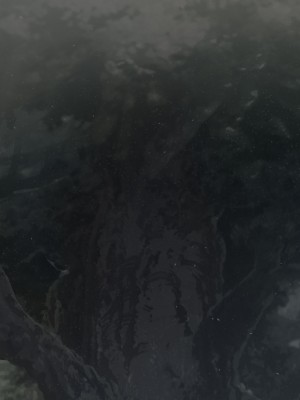 [可老家 (可老)] テイ〇ット牧場～仔獅子の章～ (原神)_784