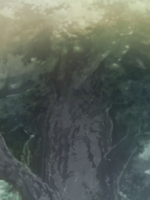 [可老家 (可老)] テイ〇ット牧場～仔獅子の章～ (原神)_794