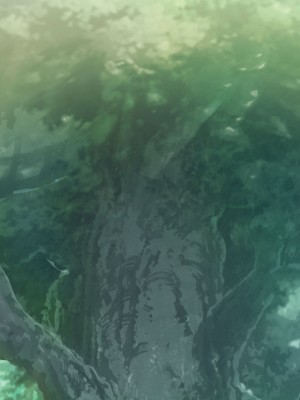 [可老家 (可老)] テイ〇ット牧場～仔獅子の章～ (原神)_796