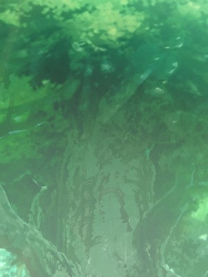 [可老家 (可老)] テイ〇ット牧場～仔獅子の章～ (原神)_799