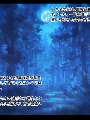 [朝風の雫 (朝風あびす)] 巨大なふたなりダークエルフお姉さんは好きですか？～亡国のディックガールちゃんの子作り修行～_003