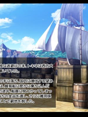 [朝風の雫 (朝風あびす)] 巨大なふたなりダークエルフお姉さんは好きですか？～亡国のディックガールちゃんの子作り修行～_004