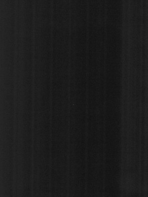 (C99) [スタジオらっきょう (鷹勢優)] 色欲女児2 [云翼个人汉化]_00000004