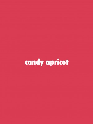 [candy apricot (ました)] 女装少年にゃんにゃん縛り! [中国翻訳] [DL版]_22