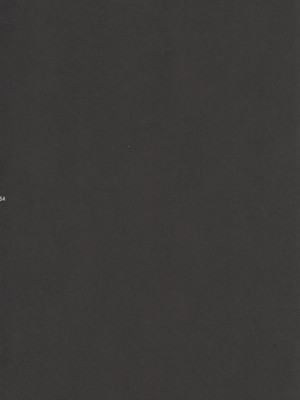 (C92) [bolze. (rit.)] BLACK ARISU (アイドルマスター シンデレラガールズ) [中国翻訳]_53