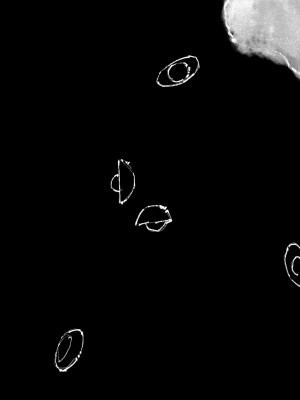 [Mumuy] 金瓶梅 1-21 [中国語] [無修正]_195_20_27