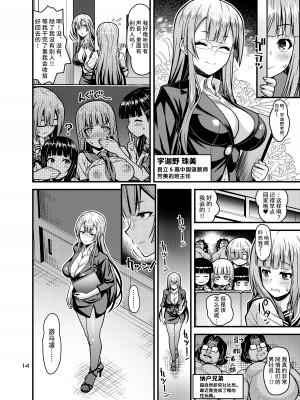 [Steel Mayonnaise (ひぐちいさみ)] 肉巫女の宴 捌 ～痴濡の雌午～[不咕鳥漢化]_14