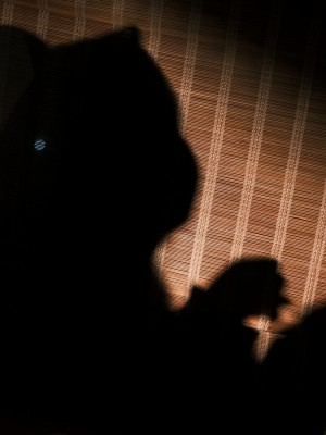 [星野柒兔] 放学后抓鱼的女孩_051