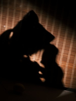 [星野柒兔] 放学后抓鱼的女孩_052