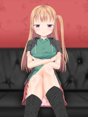 (同人CG集) [3-2画源 (カワバター)] デリヘル呼んだら実の妹が来たんだが ～ツンデレ妹ユリ～_160_b_001