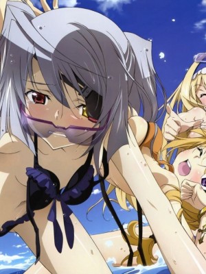 [剥ぎコラ] IS 〈インフィニット・ストラトス〉-1280x_05_22_1