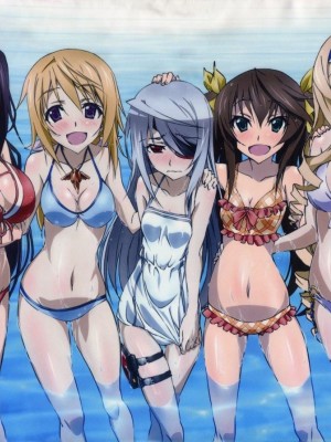 [剥ぎコラ] IS 〈インフィニット・ストラトス〉-1280x_07_22_3