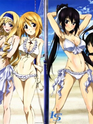 [剥ぎコラ] IS 〈インフィニット・ストラトス〉-1280x_09_22_5