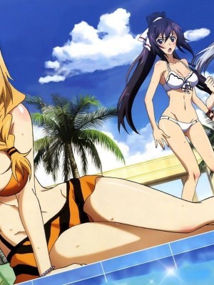 [剥ぎコラ] IS 〈インフィニット・ストラトス〉-1280x_11_24_1