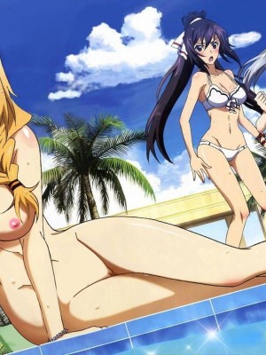 [剥ぎコラ] IS 〈インフィニット・ストラトス〉-1280x_12_24_2