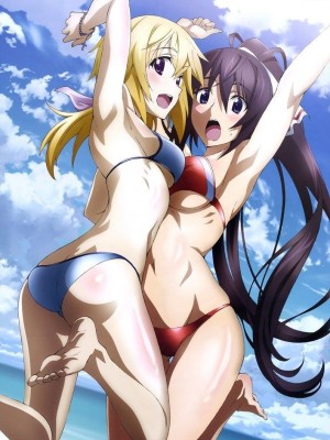 [剥ぎコラ] IS 〈インフィニット・ストラトス〉-1280x_20_29_3