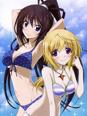 [剥ぎコラ] IS 〈インフィニット・ストラトス〉-1280x_22_29_5