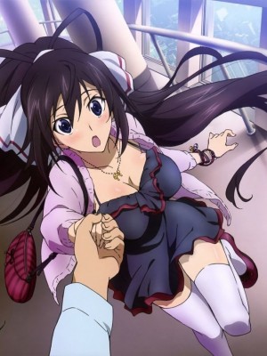 [剥ぎコラ] IS 〈インフィニット・ストラトス〉-1280x_31_38_1