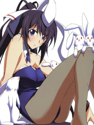 [剥ぎコラ] IS 〈インフィニット・ストラトス〉-1280x_34_39_1