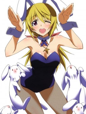 [剥ぎコラ] IS 〈インフィニット・ストラトス〉-1280x_39_39_3