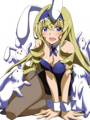 [剥ぎコラ] IS 〈インフィニット・ストラトス〉-1280x_41_39_5