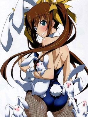 [剥ぎコラ] IS 〈インフィニット・ストラトス〉-1280x_43_39_7