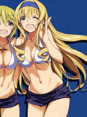 [剥ぎコラ] IS 〈インフィニット・ストラトス〉-1280x_46_40_1