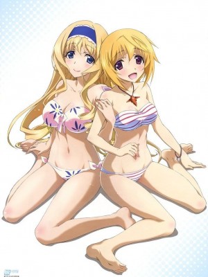 [剥ぎコラ] IS 〈インフィニット・ストラトス〉-1280x_59_48_1