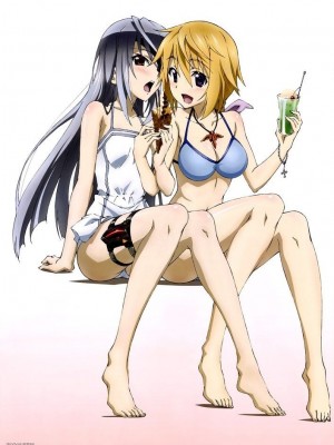 [剥ぎコラ] IS 〈インフィニット・ストラトス〉-1280x_61_48_3