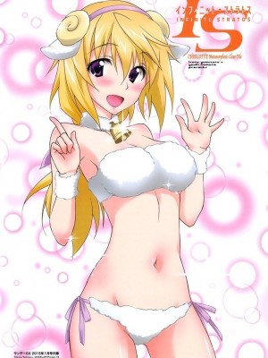 [剥ぎコラ] IS 〈インフィニット・ストラトス〉-1280x_65_53_3