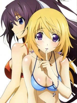 [剥ぎコラ] IS 〈インフィニット・ストラトス〉-1280x_67_53_5