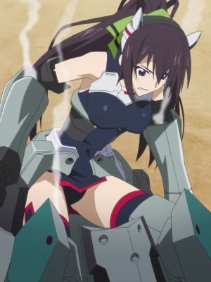 [剥ぎコラ] IS 〈インフィニット・ストラトス〉-1280x_75_77_5